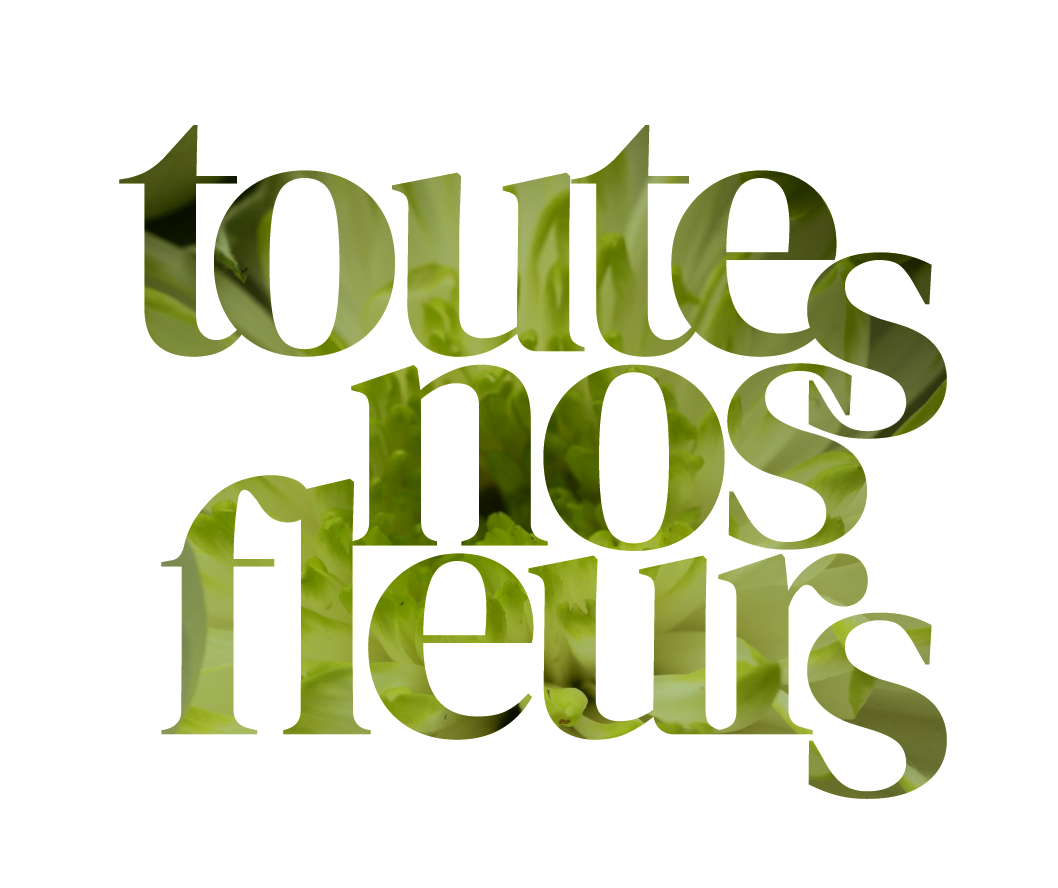 La boutique [Nom]Toutes nos fleurs
